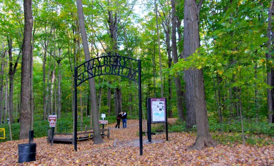 Maybury State Park, Michigan, USA